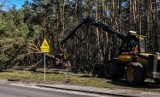 Na bydgoskich Piaskach rozpoczęła się wycinka drzew. Ulica Smukalska zostanie rozbudowana [zdjęcia]