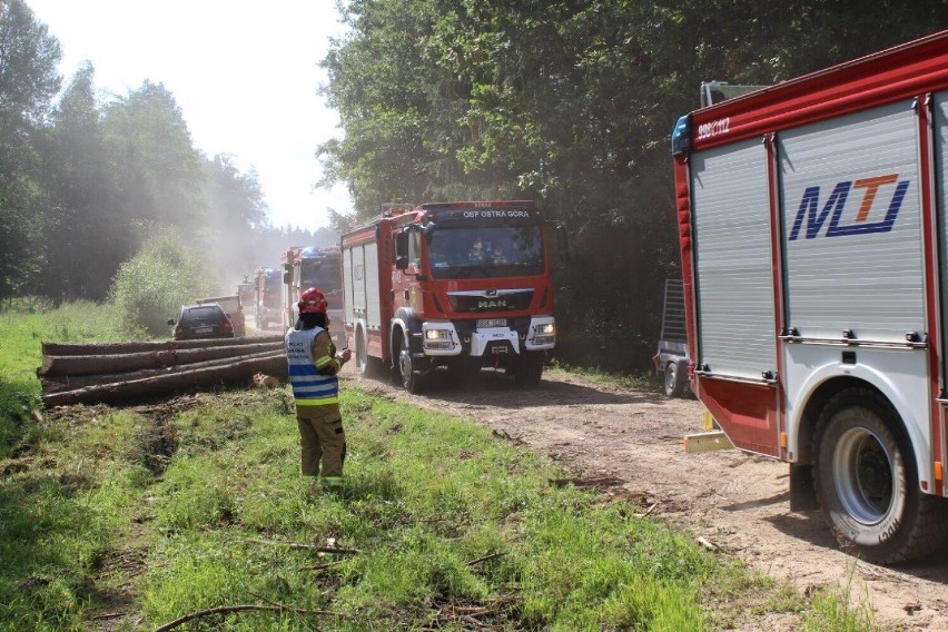 Pożar w lesie, zablokowana trasa, poszkodowany grzybiarz. Strażacy ćwiczyli w skomplikowanych okolicznościach 