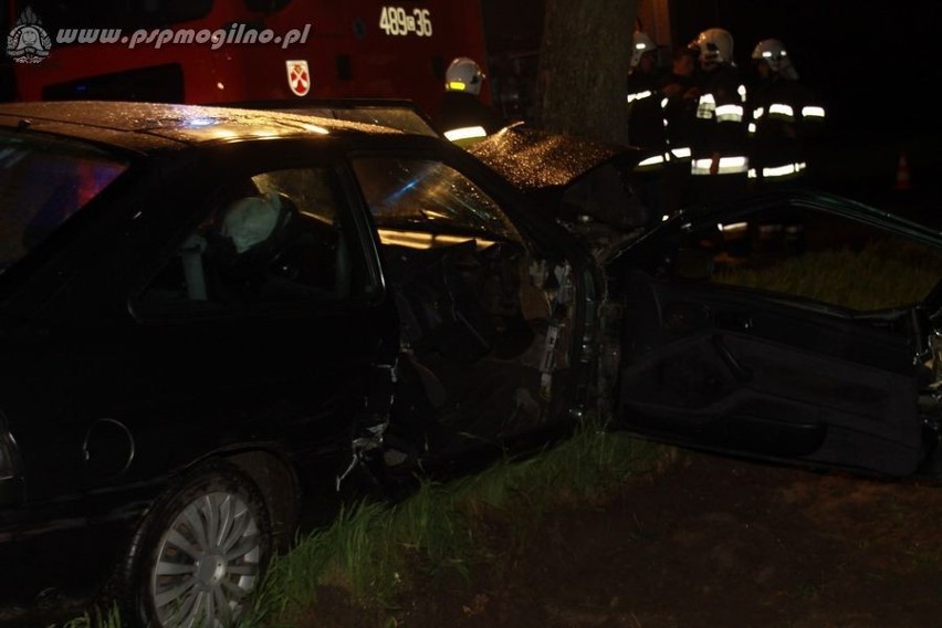 Wypadek Rzadkwin koło Mogilna - ford uderzył w drzewo