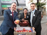 Wybory samorządowe 2014 Chorzów: zabytkowy tramwaj i... jabłka wyborcze [FOTO]