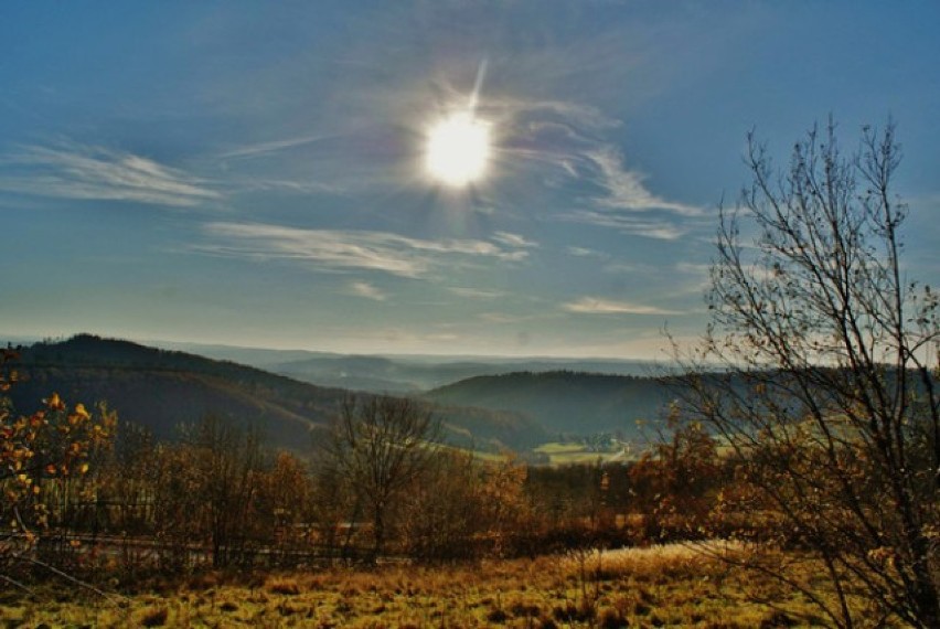 zwierzęta w Bieszczadach