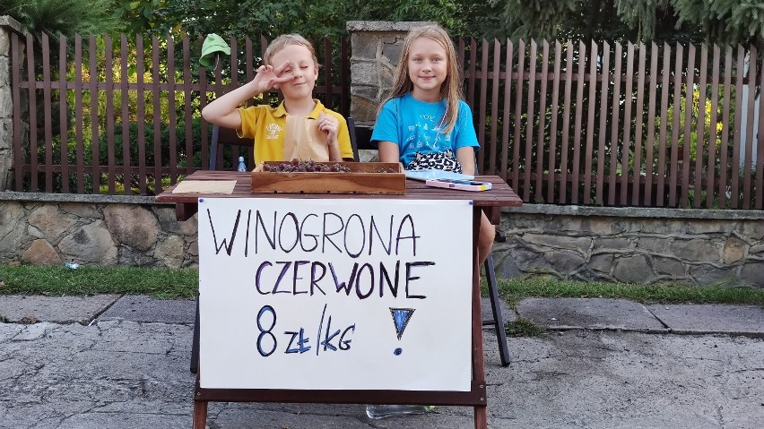 Dzieci sprzedają winogrona na Twardosławickiej w Piotrkowie