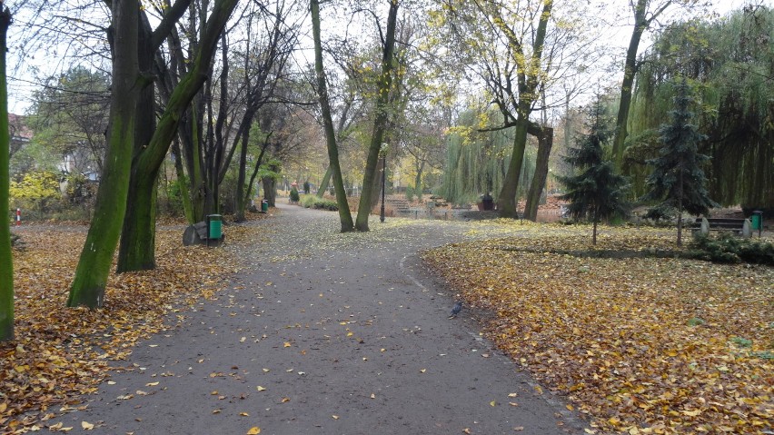 Zgarnęli liście w parku