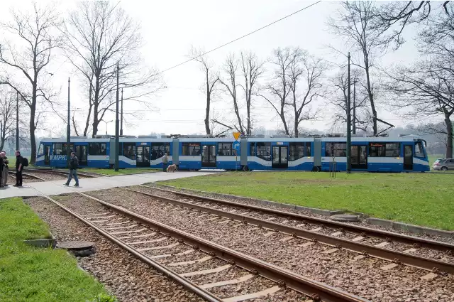 Najdłuższy w Polsce tramwaj po ulicach Krakowa jeździ od czwartku. Bardzo wygodny, problemy są na zwrotnicach...