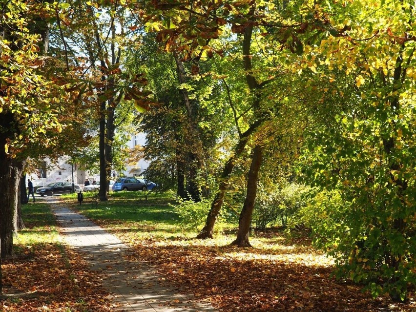 Sprawą zajęli się funkcjonariusze Ogniwa ds. Nieletnich i...