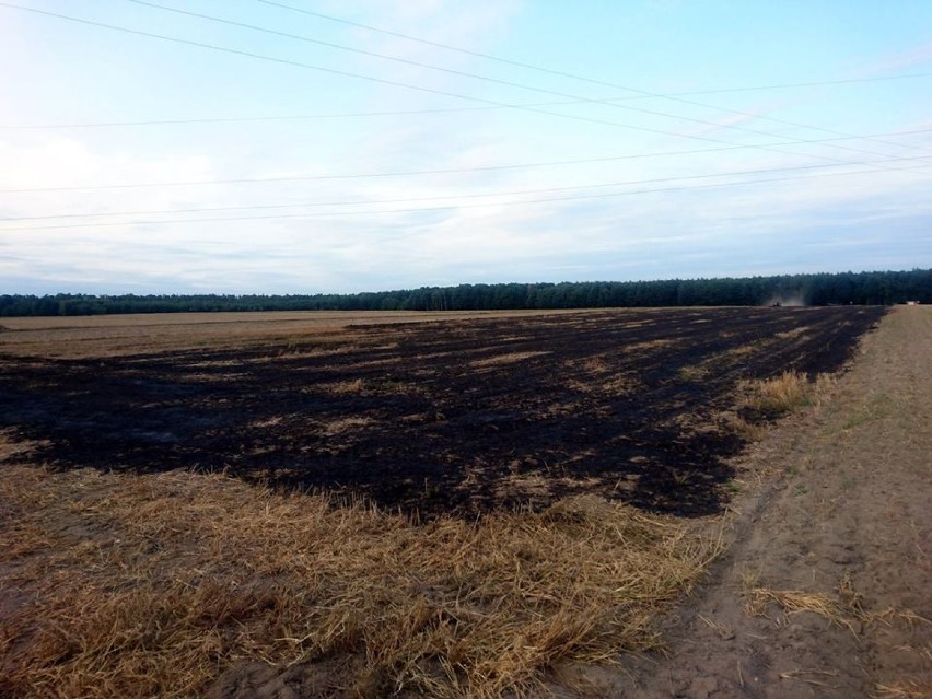 Pożar samochodu oraz ścierniska w Bukowcu