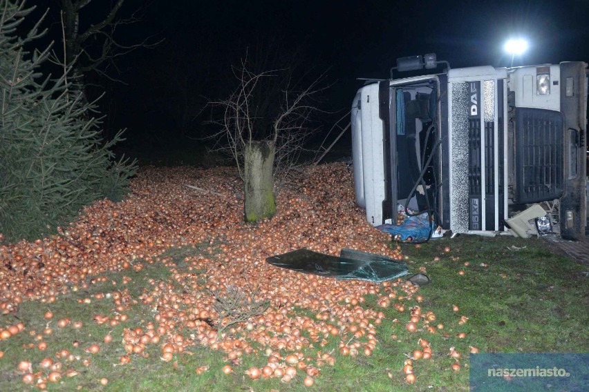 Kierowca wywróconej ciężarówki z cebulą na drodze Włocławek - Brześć Kujawski był pijany [zdjęcia]