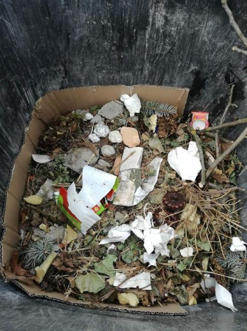 Urzędnicy ze Skoków informują, że wielu mieszkańców źle segreguje odpady 
