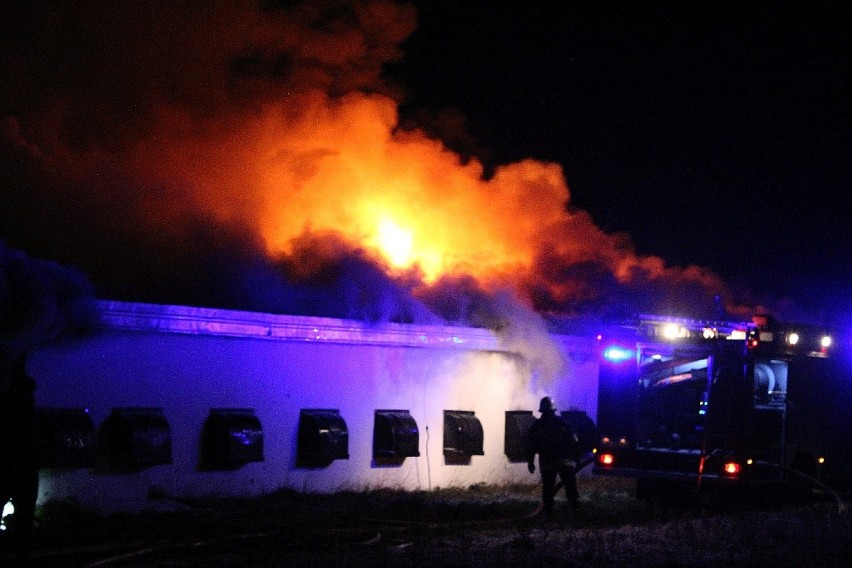 Pożar w Lisowicach
