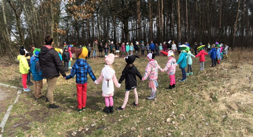 Międzynarodowy dzień Lasów w Rybniku obchodziły szkoły [ZDJĘCIA]