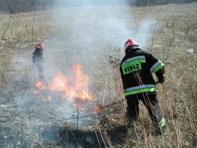 Pożary Rybnik: strażacy jeździli do podpaleń traw i śmietników