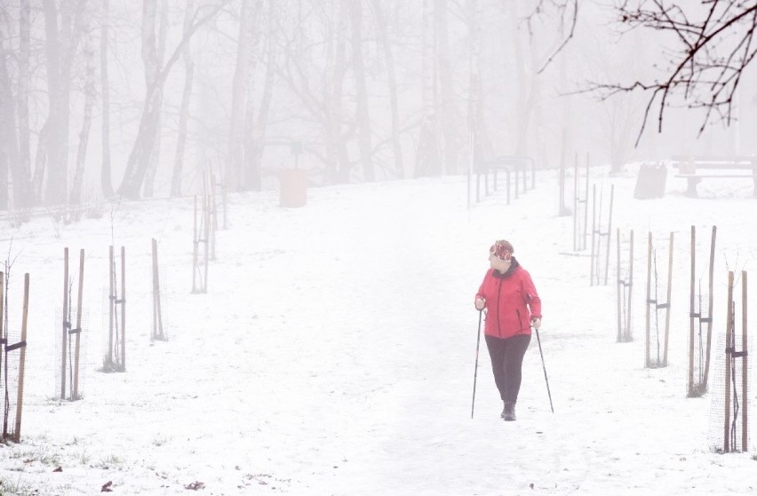 W okolicach Wzgórz Piastowskich wciąż jest jeszcze sporo...