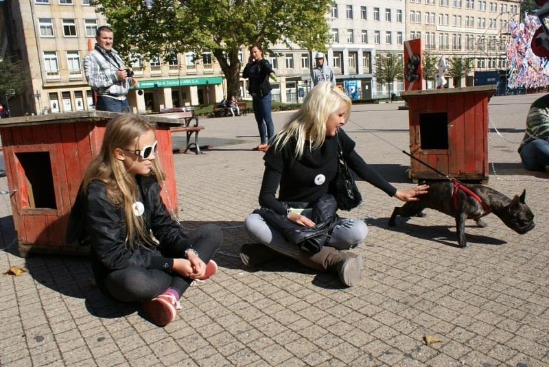 Poznań: Na placu Wolności przykuli się łańcuchami do bud [ZDJĘCIA]
