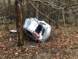 Pod Toruniem kierująca fordem wypadła z drogi i uderzyła w drzewo
