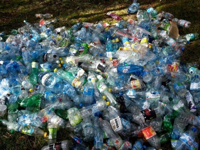 Łodzianie coraz chętniej stawiają na ekologię, a zamiast plastikowych butelek na wodę używają... bidonów, które służą na lata. Jak podkreśla dyrektor łódzkiego MPO, Tomasz Kacprzak - strumień odbieranych przez MPO plastikowych butelek ustabilizował się, co oznacza, że butelek nie przybywa – poziom w latach 2020 i 2021 był taki sam.


CZYTAJ WIĘCEJ NA KOLEJNYCH SLAJDACH!


