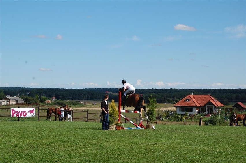 Zawody jeździeckie w Mezowie -Parkur Otwarty i derby