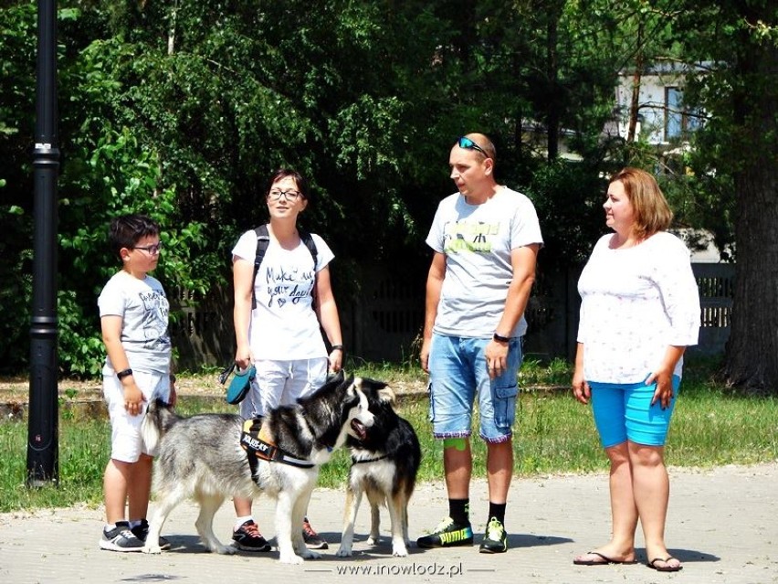 Ogólnopolski Zlot Psów Adoptowanych odbył się w Inowłodzu. Zorganizowano m.in. wystawę psów [zdjęcia]