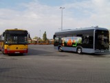MPK Łódź chce wozić łodzian elektrycznymi autobusami