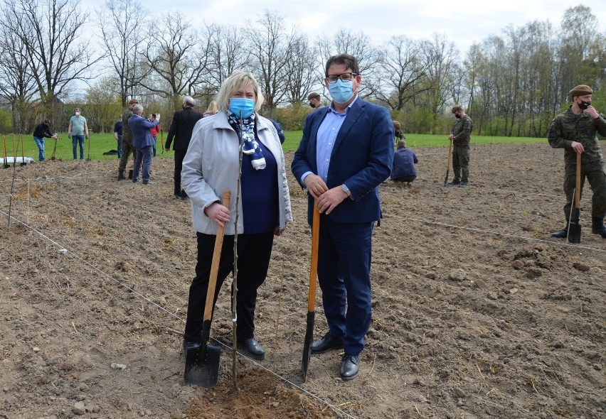 Bratoszewice: 100 drzew na Święto Narodowe 3 Maja