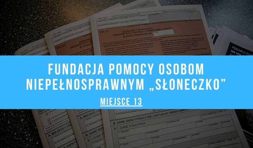 TOP 15 Organizacji Pożytku Publicznego, którym przemyślanie przekazali 1 proc. podatku [LISTA]