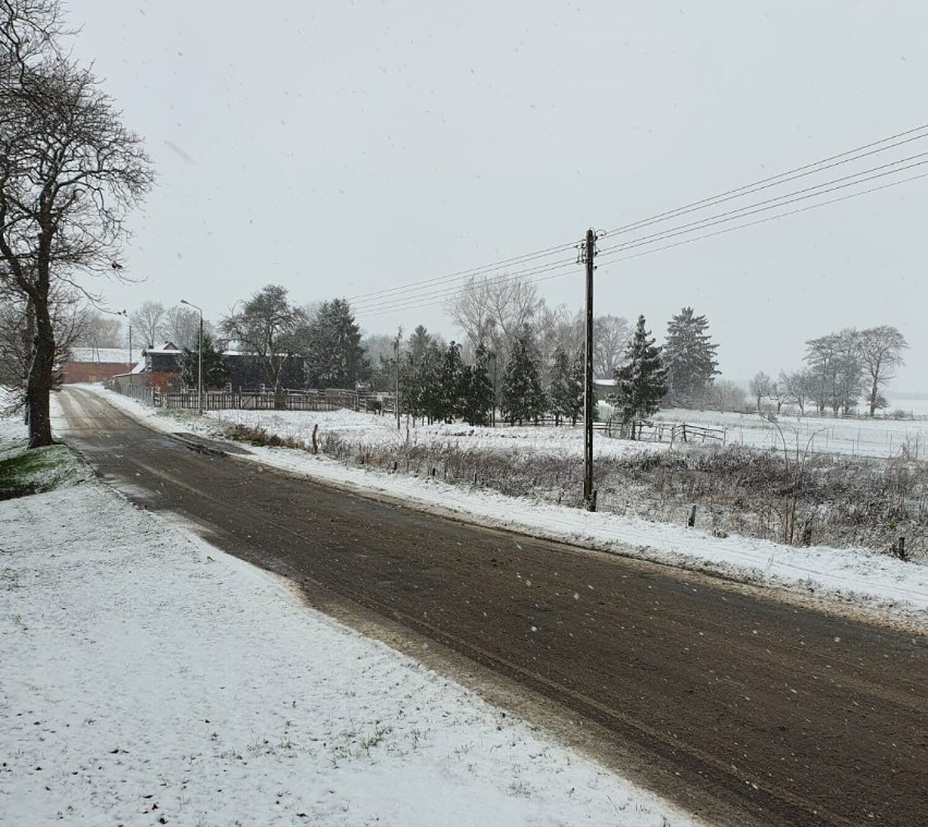 Pierwszy śnieg w powiecie sławieńskim. Zrobiło się zimowo [zdjęcia]