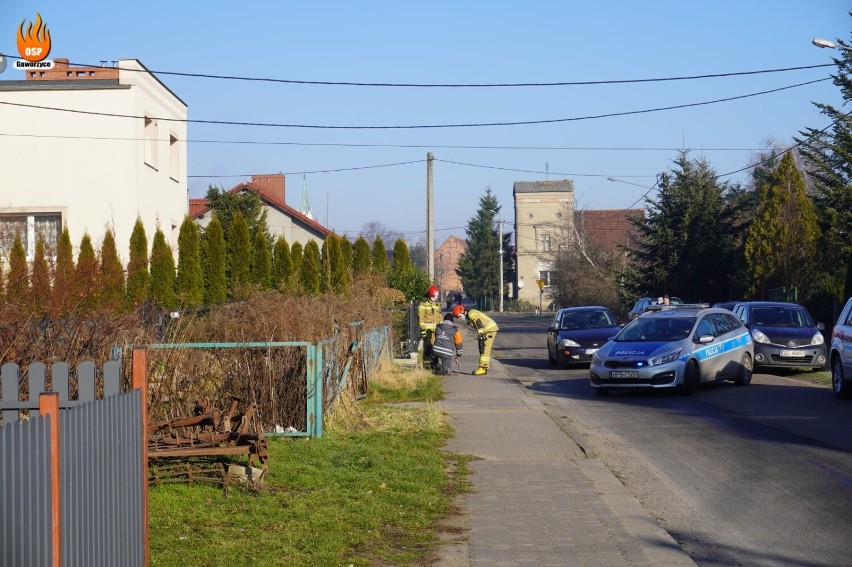 W budynku czuć było gaz