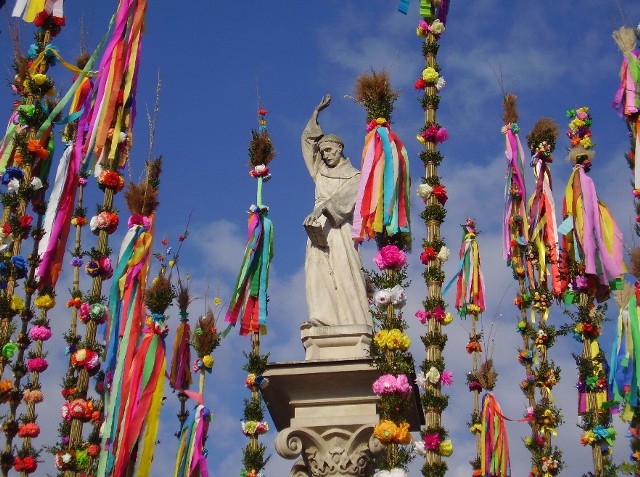 Lipnickie palmy zdobią Rynek i pomnik św. Szymona