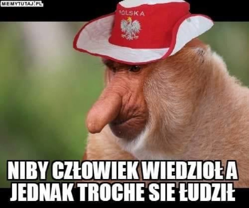 Mundial 2018. Najlepsze memy po meczu Polska - Kolumbia [MEMY]