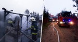 Pożar domku letniskowego pod Bydgoszczą. Spalił się doszczętnie [zdjęcia]