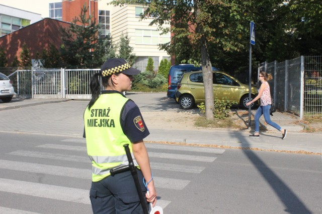 Bezpieczna droga do szkoły 2016, Łódź. Akcja policji i straży miejskiej