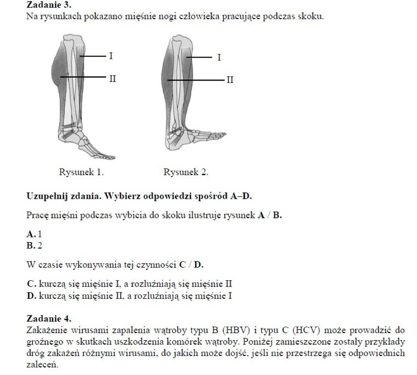 egzamin gimnazjalny matematyka| egzamin gimnazjalny...