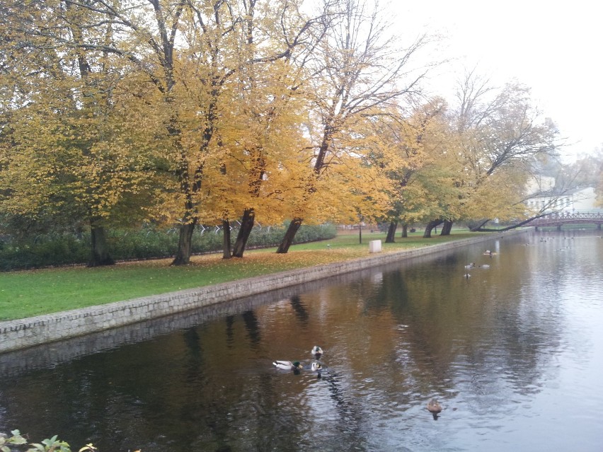 Jesień w parku Majkowskiego w Wejherowie