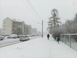 Tomaszów pod śniegiem. Kilka centymetrów śniegu sparaliżowało ruch na drogach, jest ślisko - ZDJĘCIA