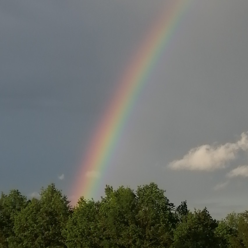 Tęcza zajaśniała po deszczu nad Zduńską Wolą. Zdjęcia czytelników ZDJĘCIA