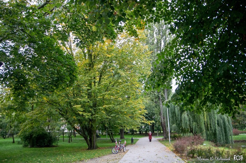 Park Miejski w Pleszewie ma szansę zmienić swoje oblicze i...