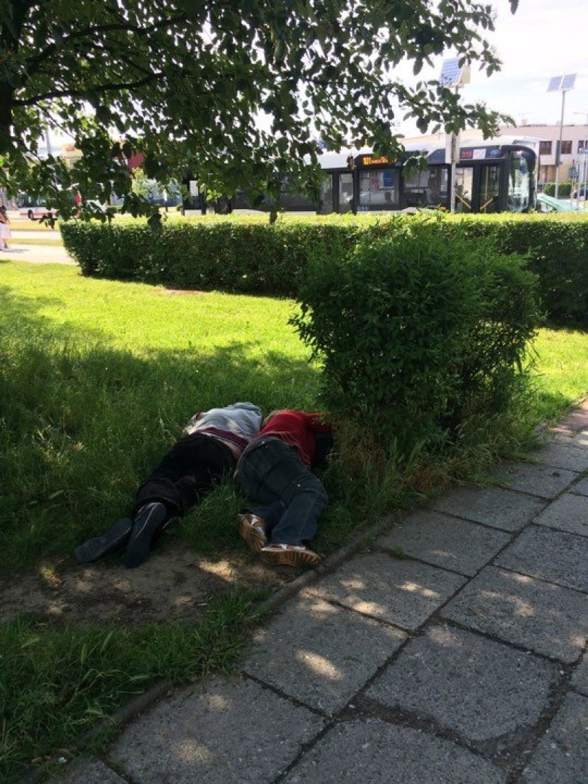 Bezdomni w Jastrzębiu: uciążliwy problem