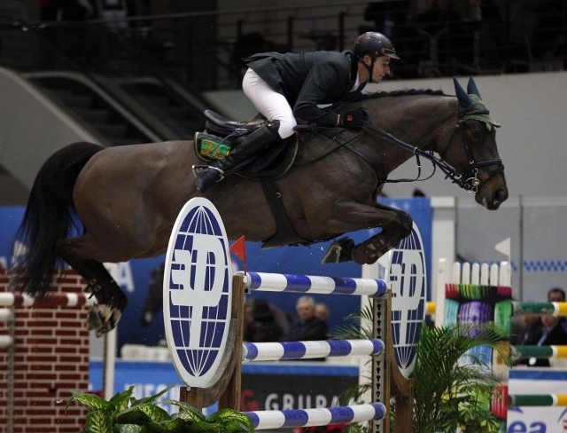 Już słychać śpiew i rżenie koni... a to znak, że na terenie Międzynarodowych Targów Poznańskich wystartowała Cavaliada 2011. Jeśli jesteś miłośnikiem koni - nie może Cię tam zabraknąć. Tegoroczna edycja podzielona została na trzy bloki: Cavaliada Targi, Sport i Show. 

Czytaj więcej: MTP: Cavaliada 2011 ruszyła z kopyta [WIDEO] 