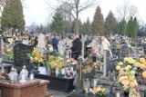 Brzezinianin pracuje nad nowelizacją projektu ustawy dotyczącej pochówków. To pokłosie akcji "Stop cmentarnemu wyzyskowi"