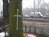 Ktoś maluje krzyże na drzewach we Wrocławiu. Sprawą zajęła się policja