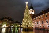 Zapalenie choinki w Warszawie. Plac Zamkowy rozświetliło świąteczne drzewko