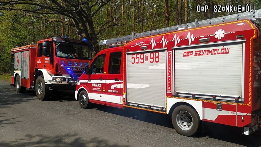 Pożar lasu na trasie Konopnica - Bębnów. Powrócił podpalacz?[FOTO]