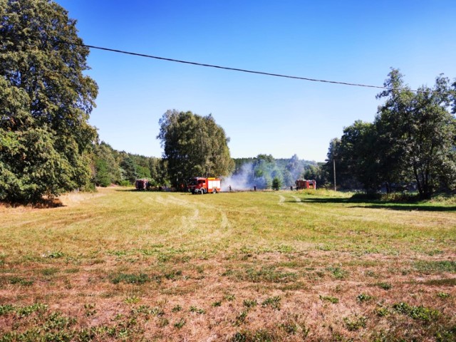 Dwa pożary pod Międzychodem - w niedzielę strażacy walczyli z ogniem w Drzewcach i w Mierzynie (16.08.2020).