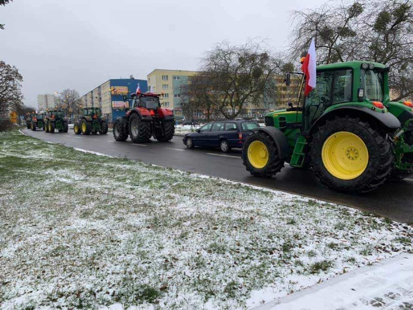 Rolnicy z Wielkopolski protestują. Żądają m.in. wybicia dzików w całym kraju