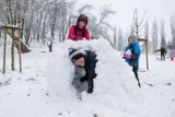 Tarnów. Piękna zima zagościła w mieście [ZDJĘCIA]