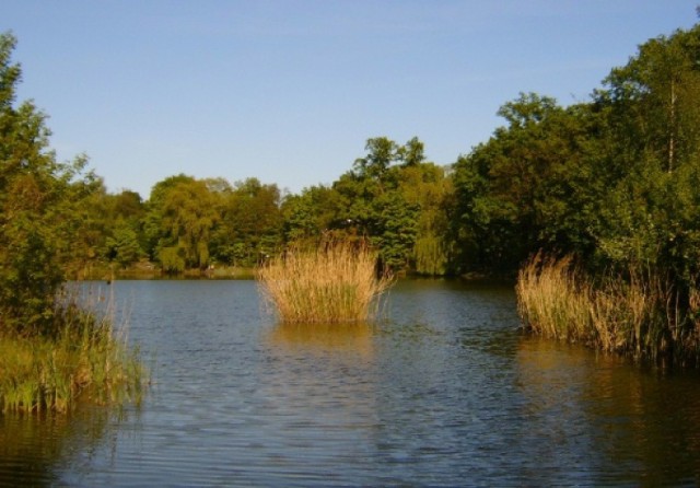 Plaża naturystów nad jez. Rusałka otwiera się 1 maja.