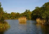 Reaktywacja plaży naturystów. Rozpoczęcie sezonu 1 maja