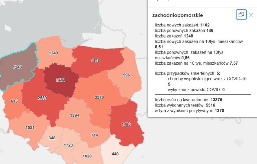 Pandemia - 15.02.2022 r. - COVID-19