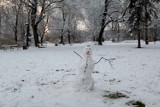 Pogoda w Warszawie. Czy jest szansa na białe święta w stolicy?