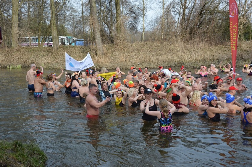 Aż 17 grup morsów z regionu witało wiosnę w Kamionie pod Skierniewicami