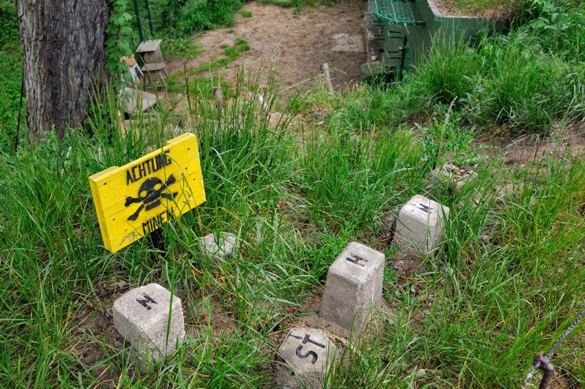 Bunkry, militaria i wojskowe jedzenie. Czas na Piknik Forteczny w Czerwieńsku! [zdjęcia]